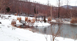 Il Parco Botanico