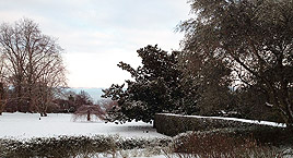 Il Parco Botanico