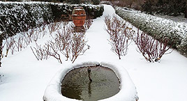 Il Parco Botanico