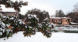 Il Parco Botanico