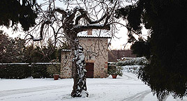 Il Parco Botanico