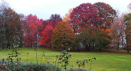 Il parco botanico