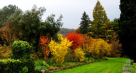 Il parco botanico