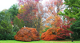 Il parco botanico