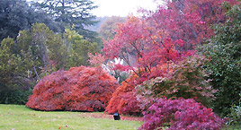 Il parco botanico