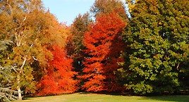 Il parco botanico