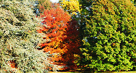 Il parco botanico